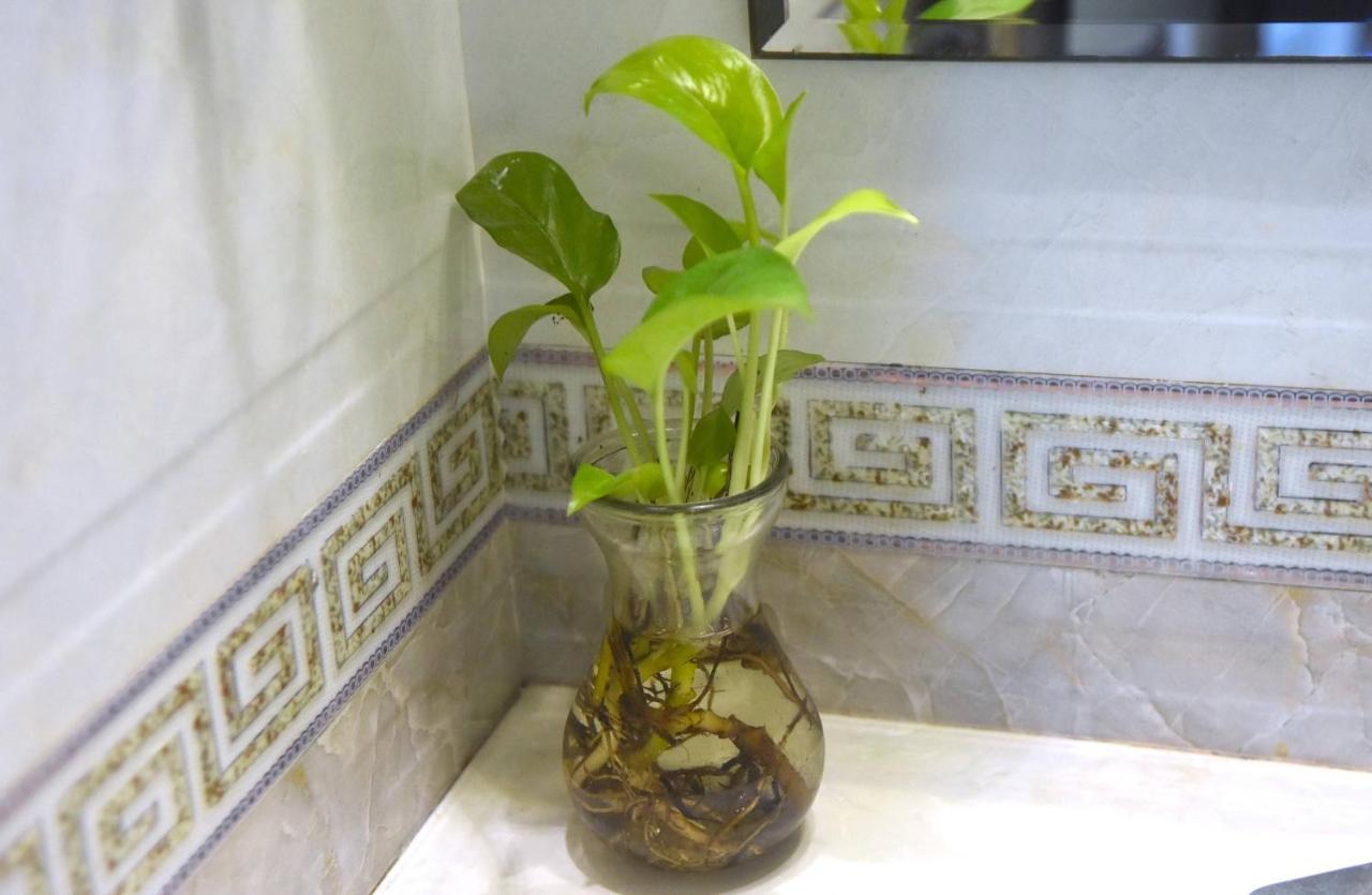 Hotel Sao Nguyen Ngoc Vu 2*